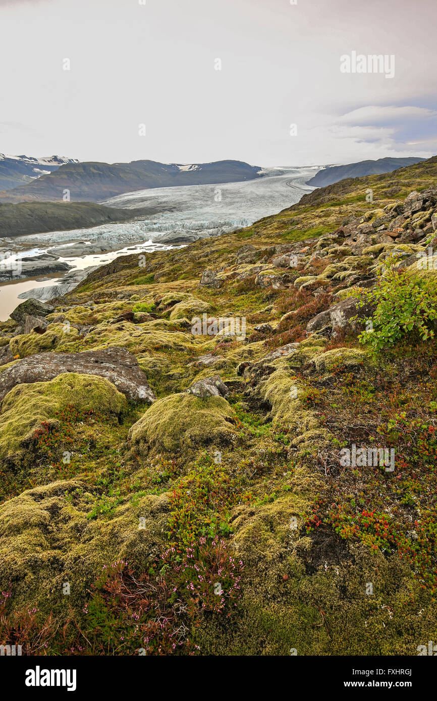 Rocky tundra, glacial lagoon and Hoffellsjokul Glacier, Vatnajokull National Park, Iceland Stock Photo