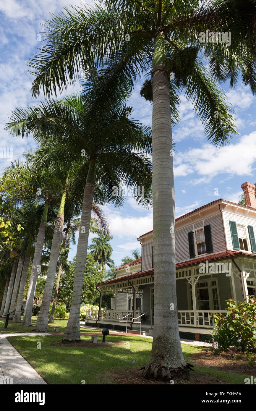 Trees in a botanical garden in Fort Myers Stock Photo Alamy