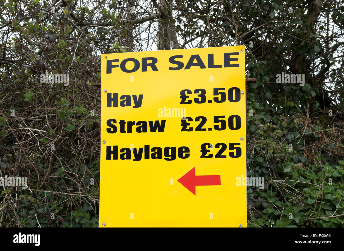 Hay for sale sign hires stock photography and images Alamy
