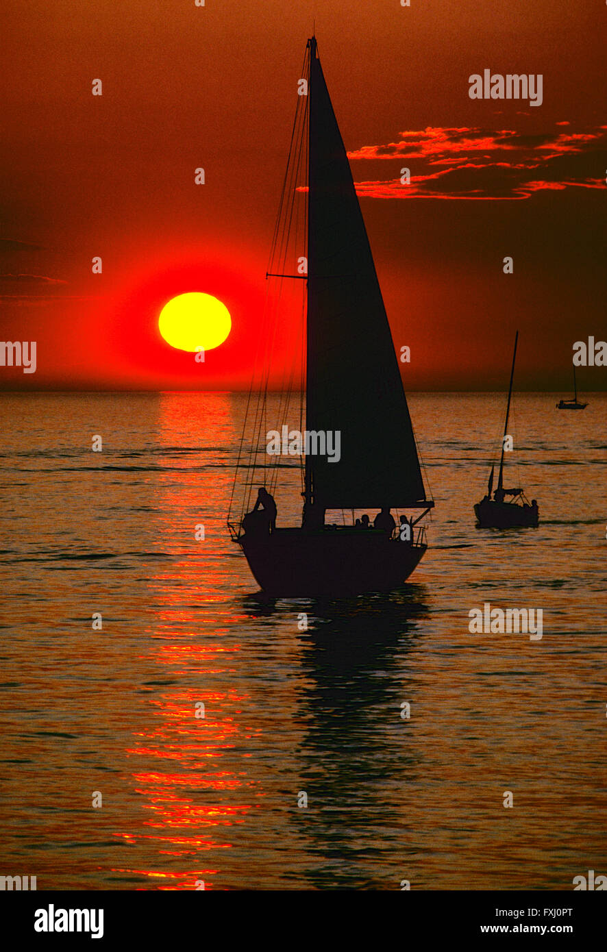 Orange sunset view of sailboat on Lake Michigan; Michigan; USA Stock Photo