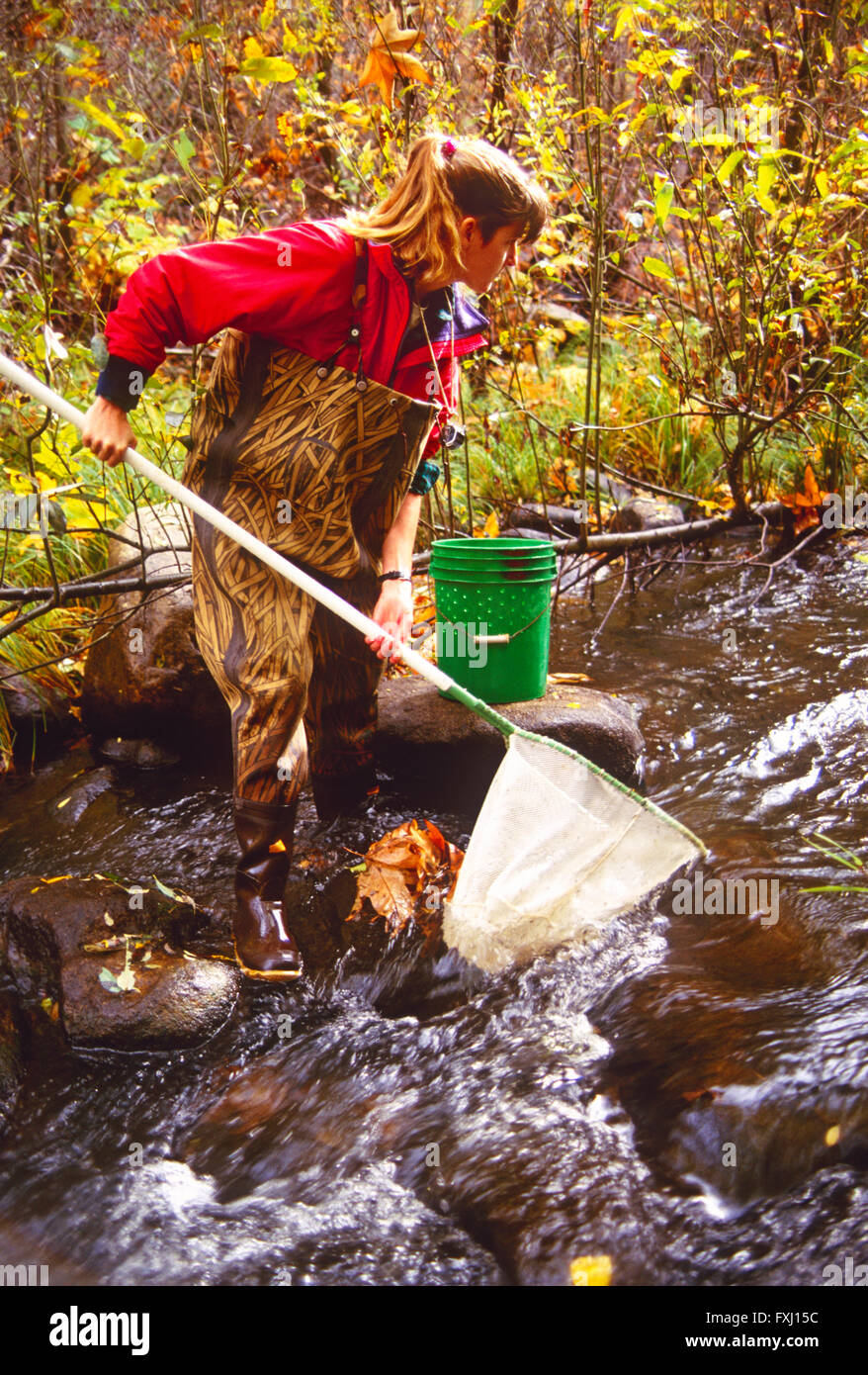 Fishery biologists monitor steelhead trout below San Clemente Dam; California; USA Stock Photo