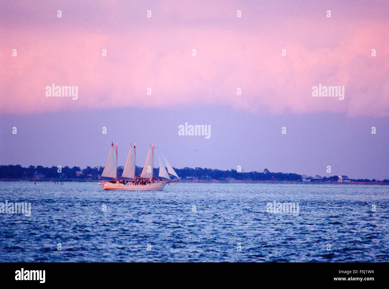 Large three mast schooner sailboat; Charleston Harbor; Charleston