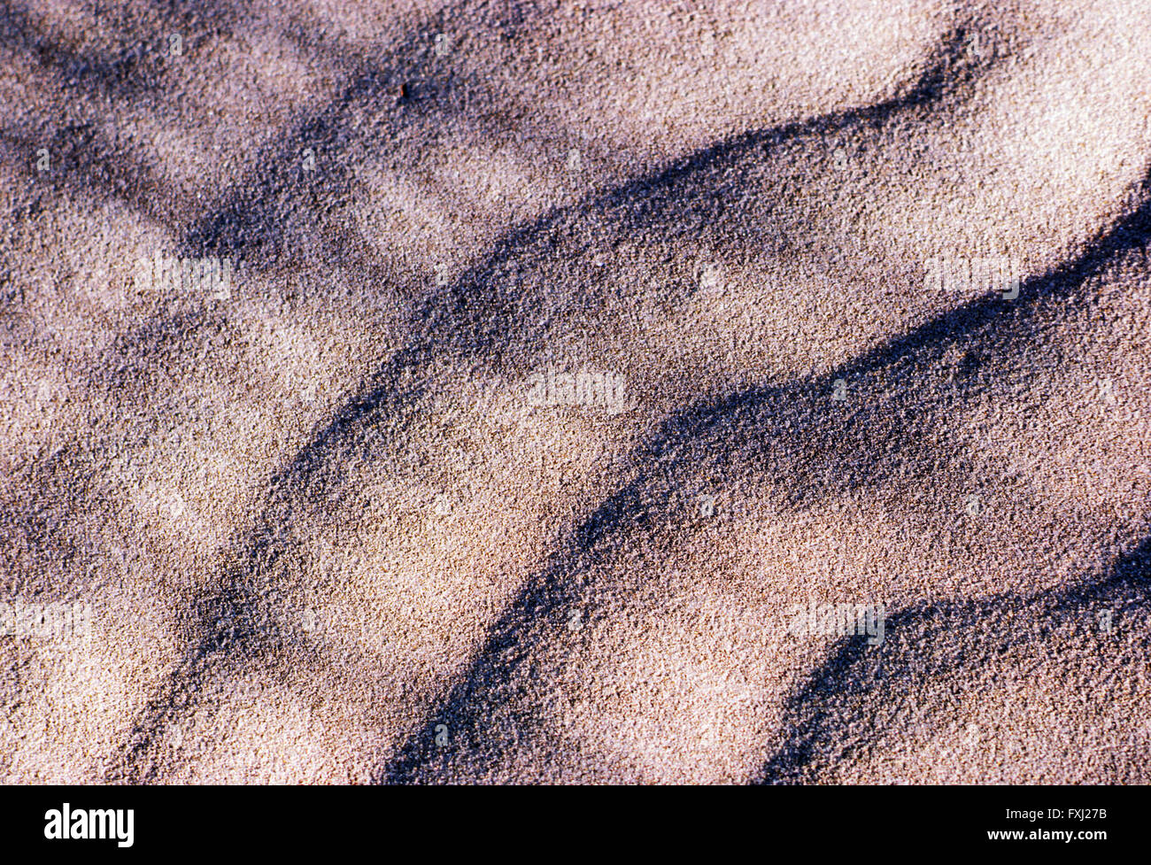 Detailed close-up of sunlit patterns in beach sand Stock Photo