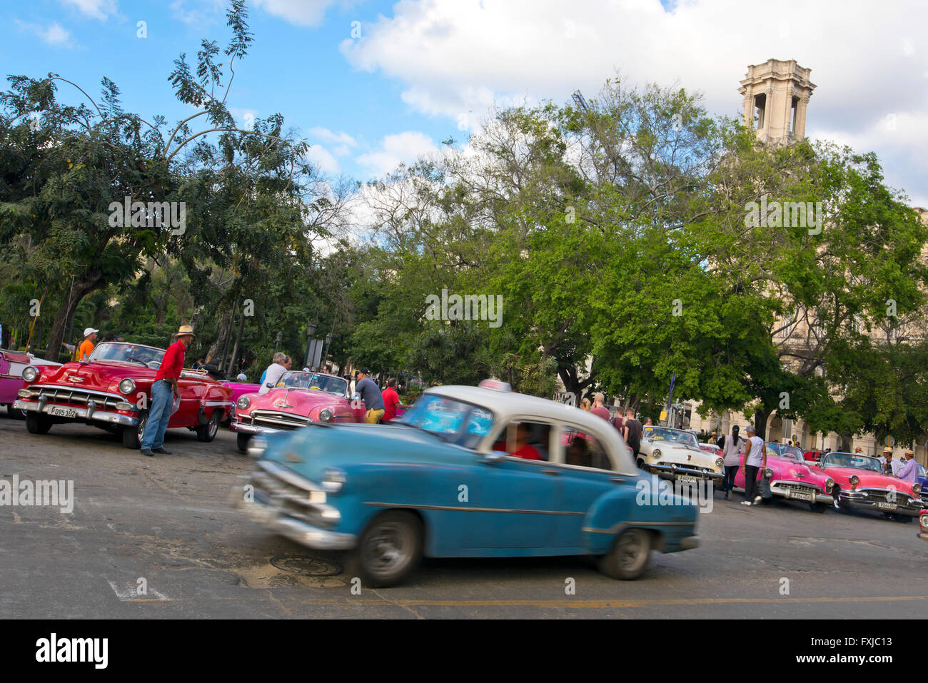 Horizontal view of lots of classic American cars parked in a row in Havana, Cuba. Stock Photo