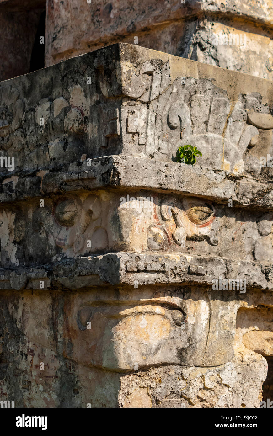 Eagle mask - architectural detail of Mayan ruins of Tulum, Mexico Stock Photo
