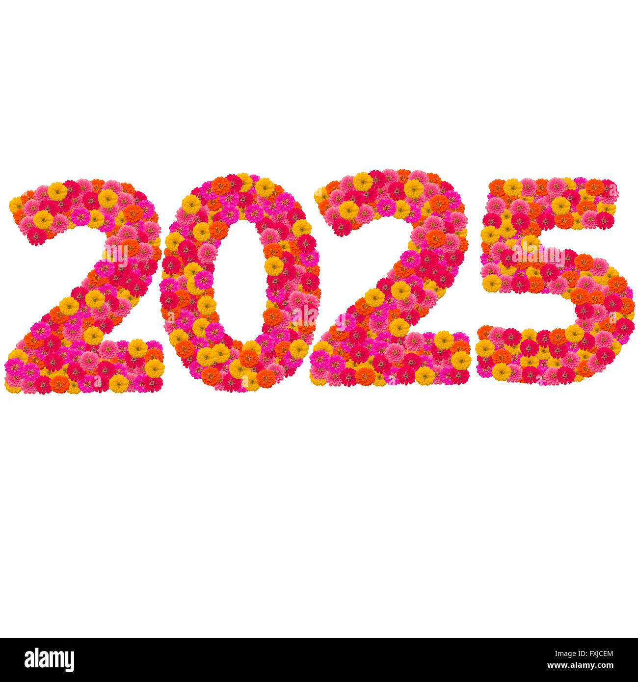 numbers-2025-made-from-zinnias-flowers-FXJCEM.jpg