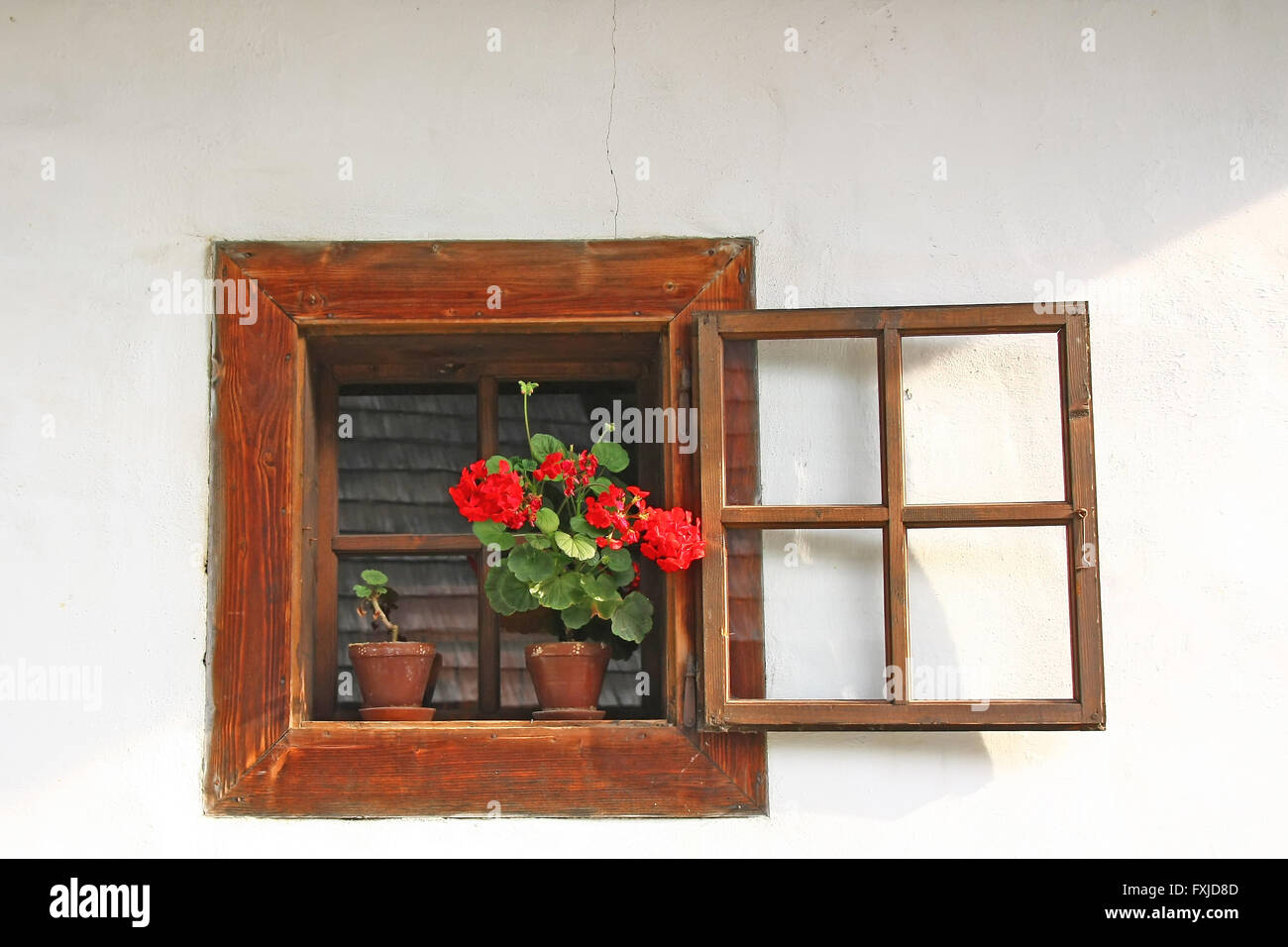 Old wooden window in a rural house with white wall. Red flower in a pot ...