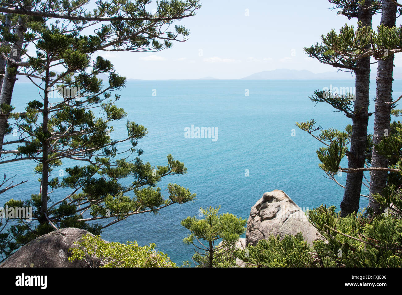 Blue sea framed by Araucaria Cunninghamii pines or hoop pines on tropical Magnetic Island, Queensland, Australia Stock Photo