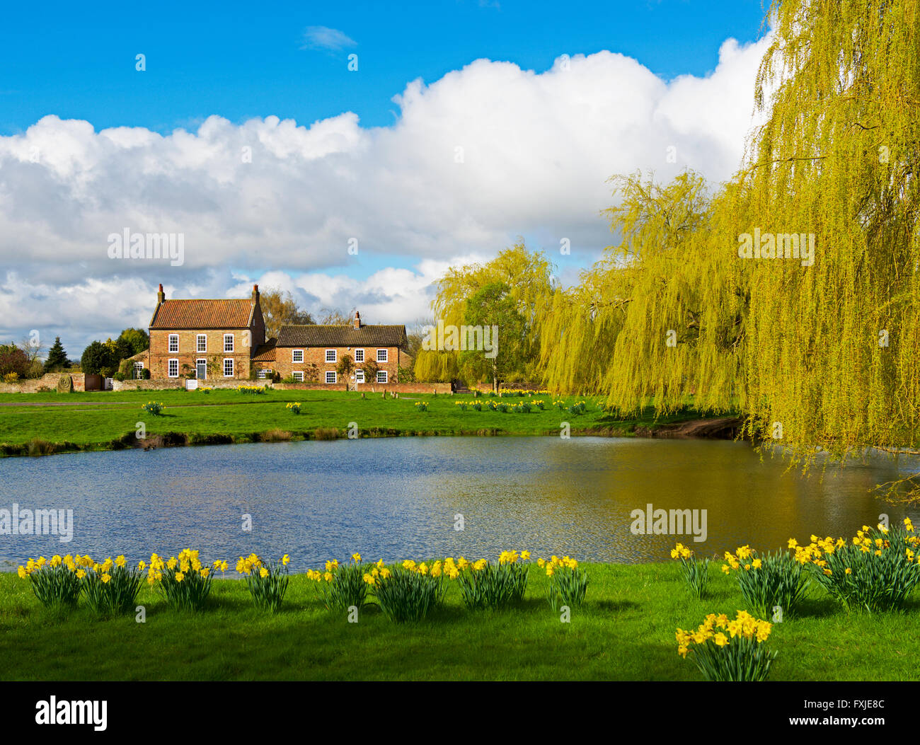 The village pond and cottage in Nun Monkton, North Yorkshire, England