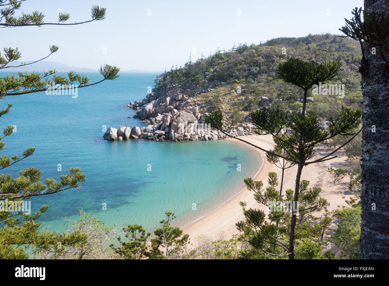 Secluded beach of Authur Bay on tropical Magnetic Island from high view point with Araucaria Cunninghamii pines or hoop pines Stock Photo