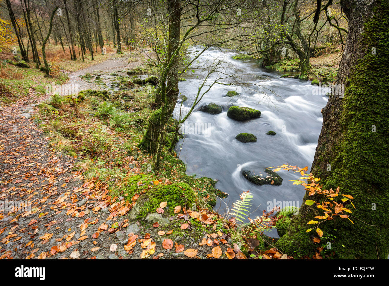 River Rothery River rothay grasmere hi-res stock photography and images - Alamy