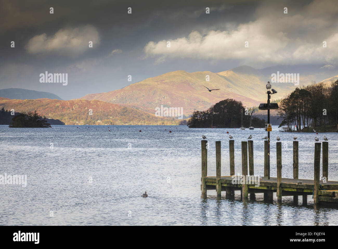 An old jetty on Lake Windermere in the Lake District, Cumbria, England Uk Stock Photo