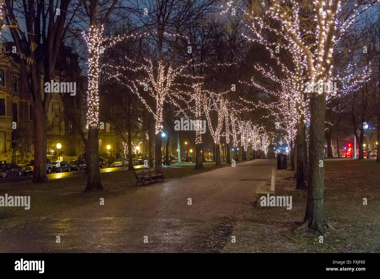 Trees covered with Christmas lights along Commonwealth Avenue in Boston,Massachusetts  USA Stock Photo
