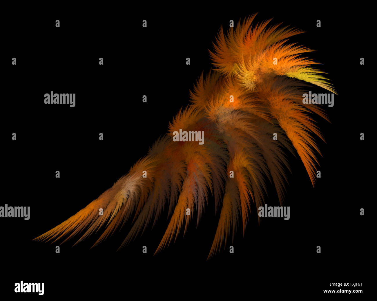 Distinctive wing patterns hi-res stock photography and images - Alamy