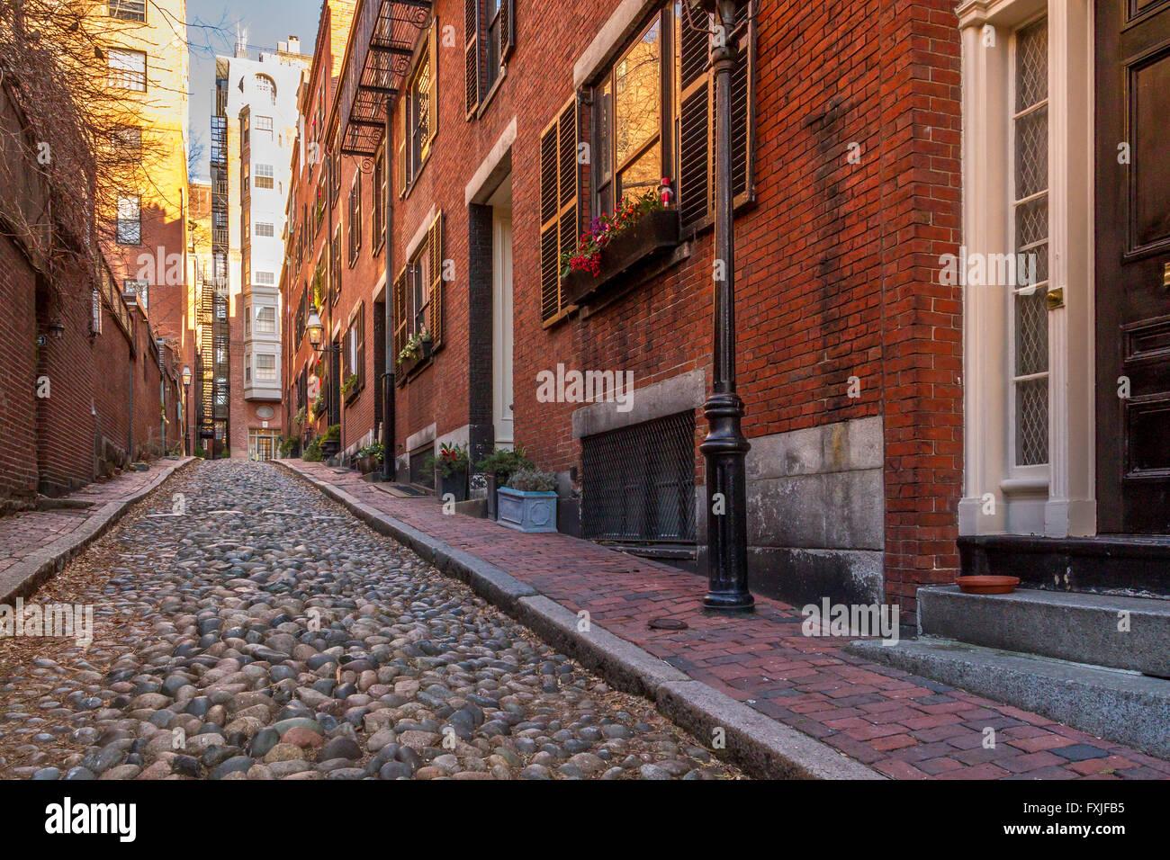 Acorn St in the Beacon Hill district of Boston, a narrow cobbled street of  historic rowhouses, Boston ,Massachusetts,USA Stock Photo