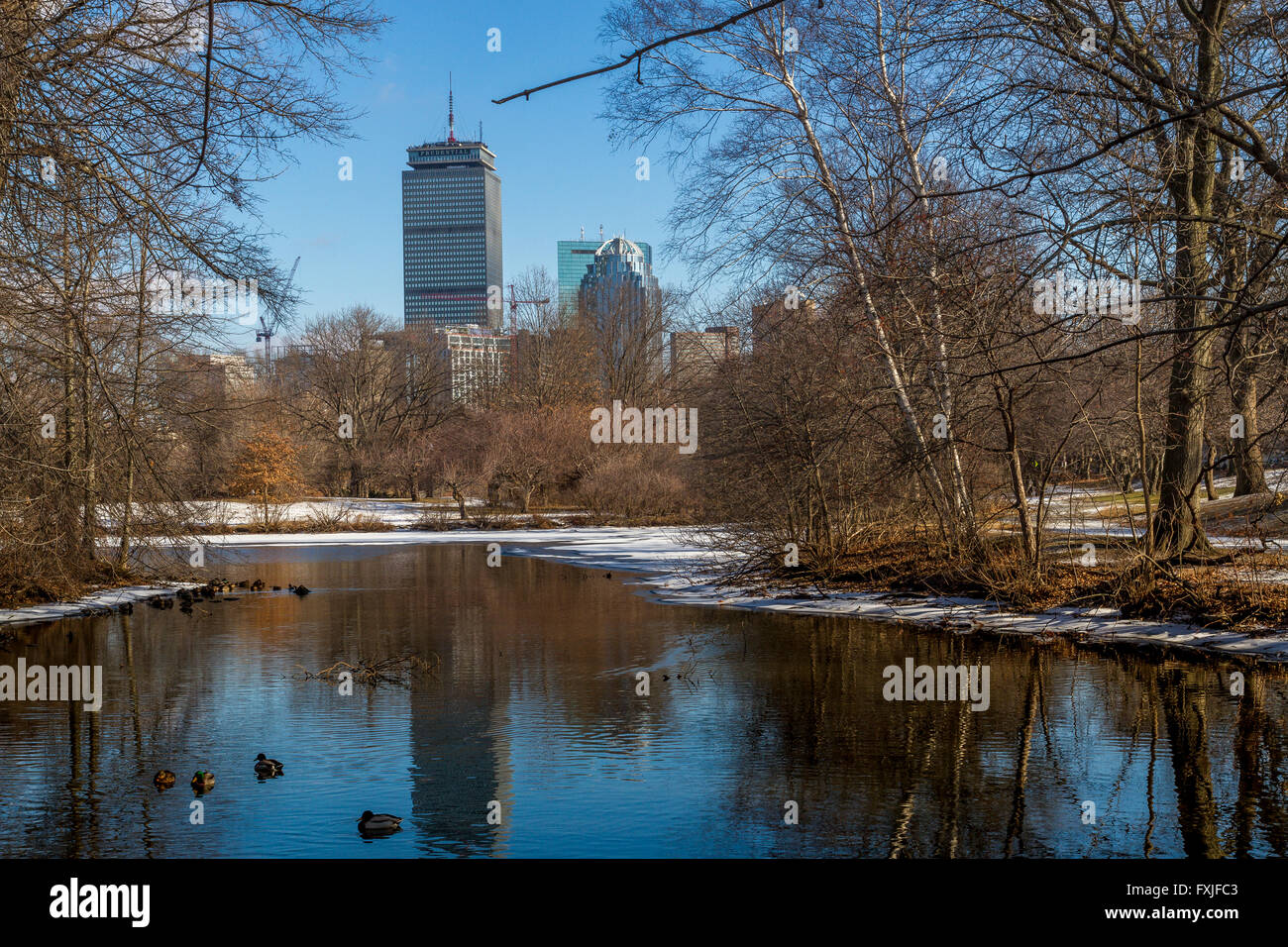 The Prudential Tower from across a lake in the Back Bay Fens part of the Emerald Necklace in winter ,Boston,Mass Stock Photo