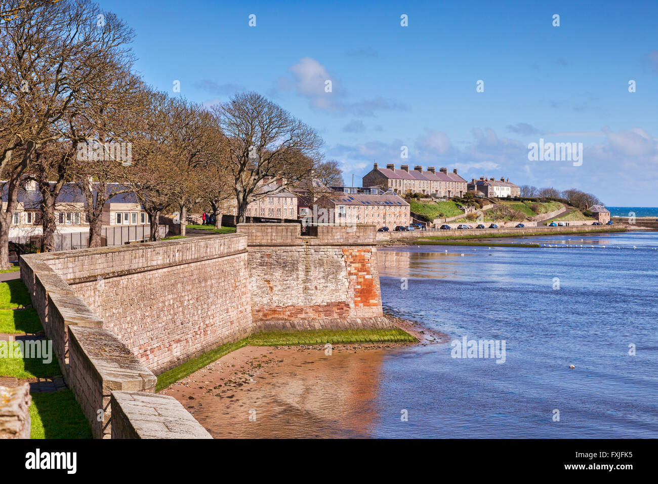 The Elizabethan town wall at Berwick-upon-Tweed on a bright spring day, Northumberland, England, UK Stock Photo