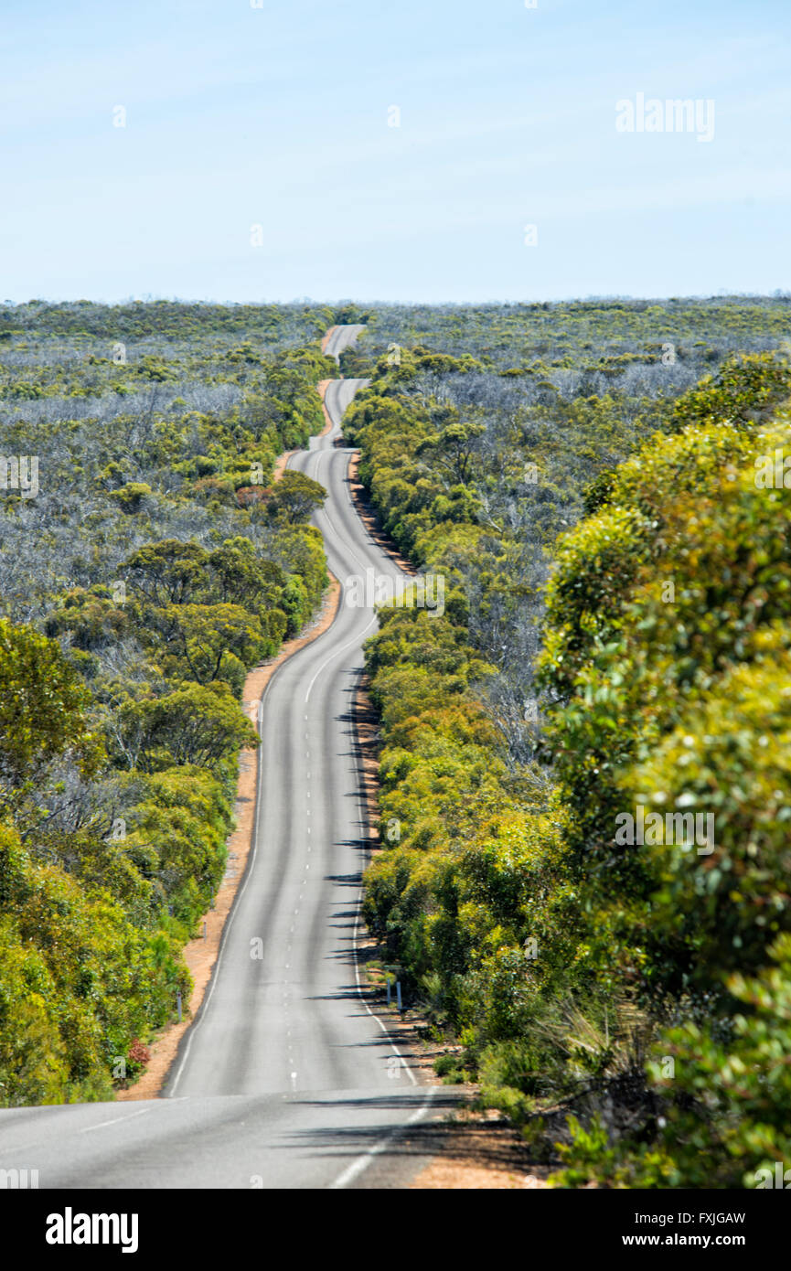 Road to Cape du Couedic, Kangaroo Island, South Australia, SA, Australia Stock Photo