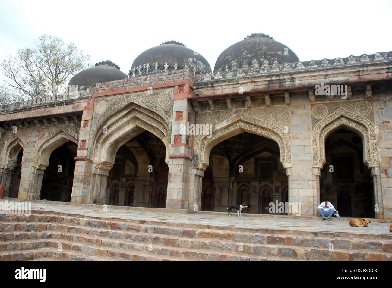 Arches on sides of Bada Gumbad Mosque, Lodhi Gardens, Delhi, with ...