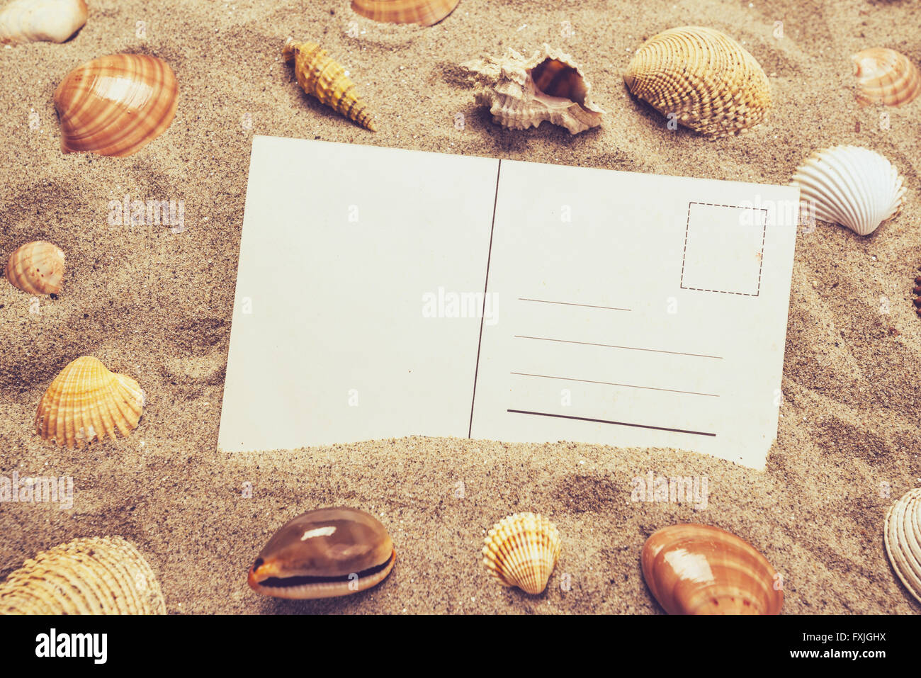 Blank postcard in hot beach sand with some sea shells, copy space for summer holiday vacation message. Stock Photo
