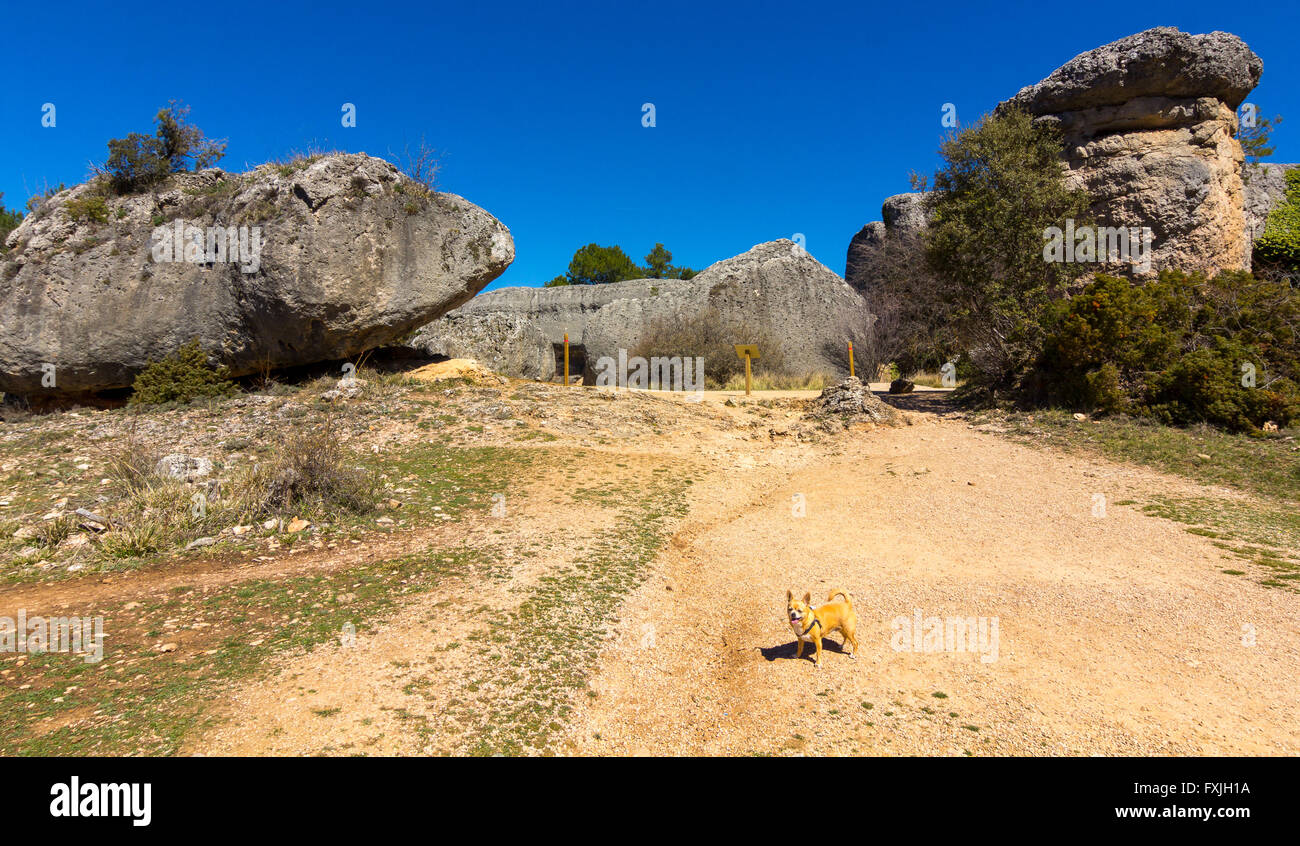 Capricious forms hi-res stock photography and images - Alamy
