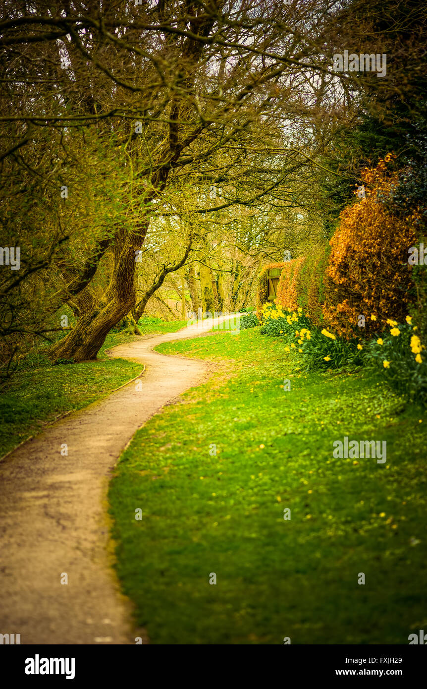Winding woodland path hi-res stock photography and images - Alamy