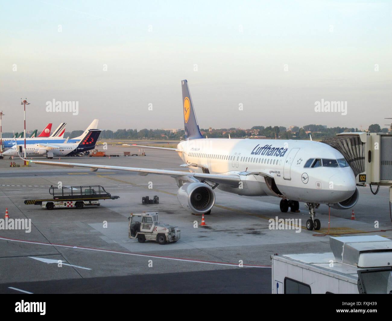 Lufthansa Airbus A320-200 at an airport gate Stock Photo