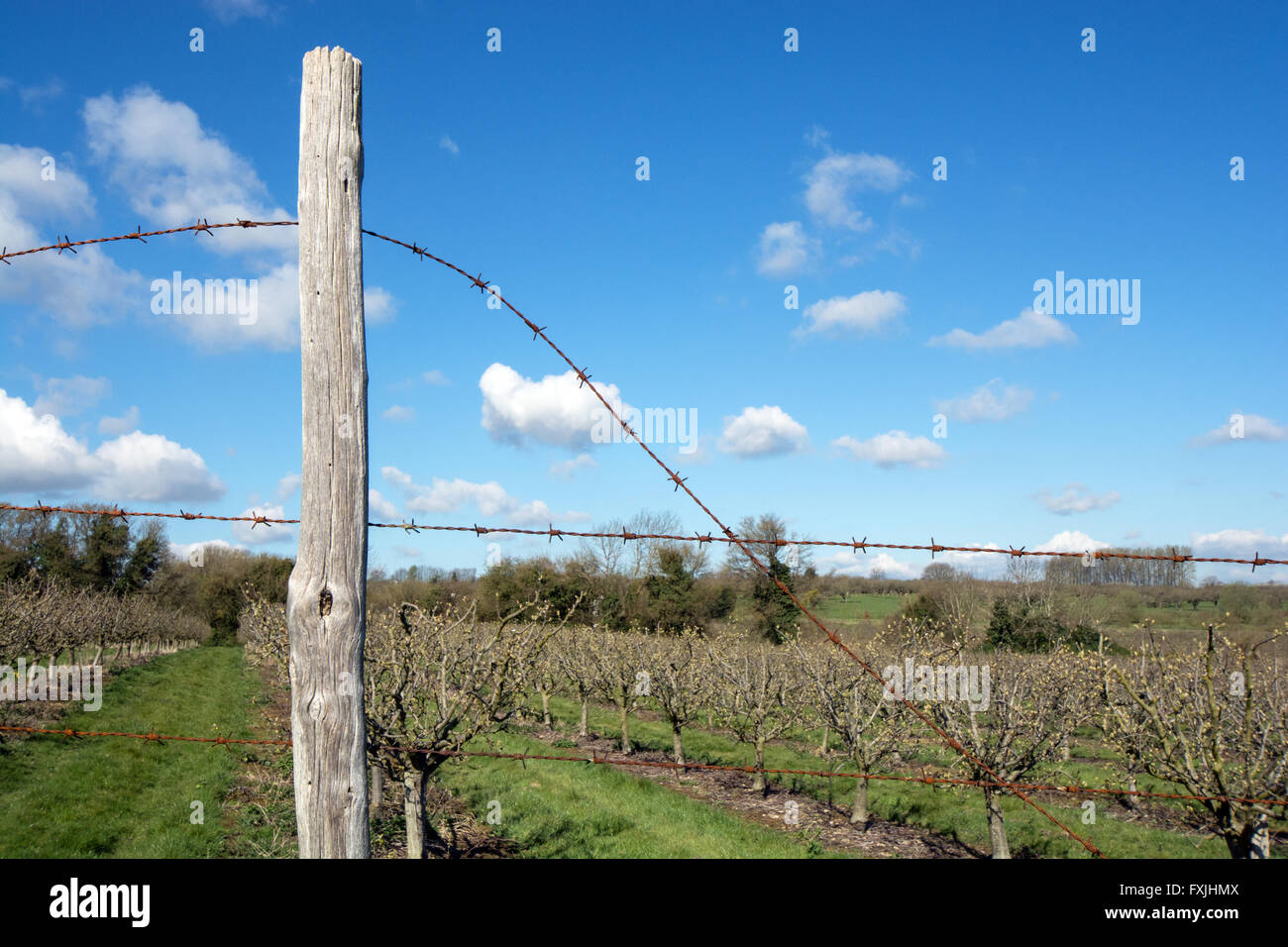 Barbed Wire Around Post Stock Photos & Barbed Wire Around Post Stock ...