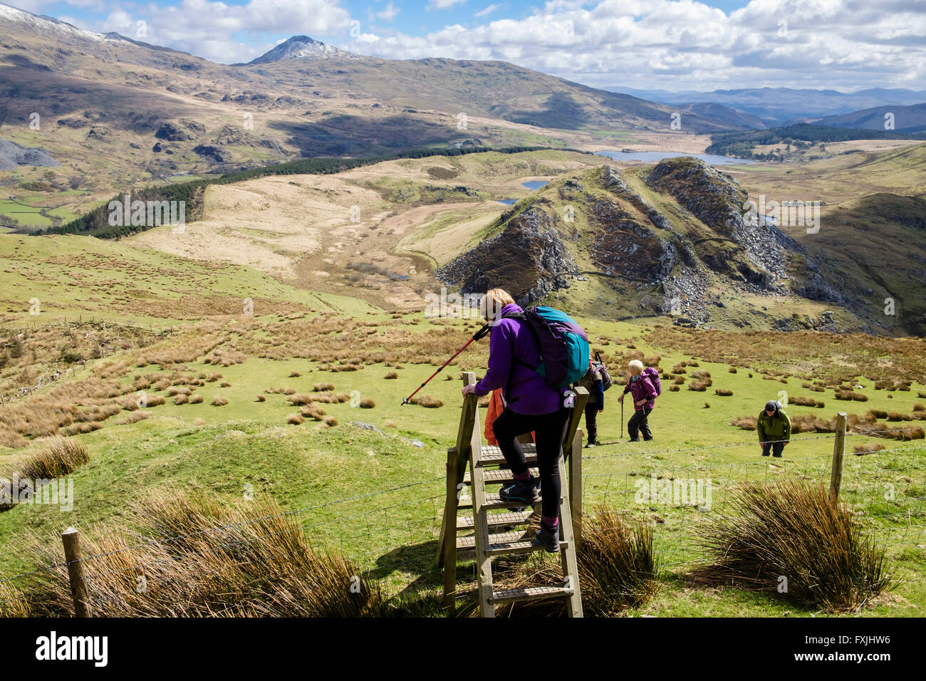 Female hiker climbs backwards down a footpath ladder stile on path up Mynydd Mawr in Snowdonia National Park. Rhyd Ddu Wales UK Stock Photo