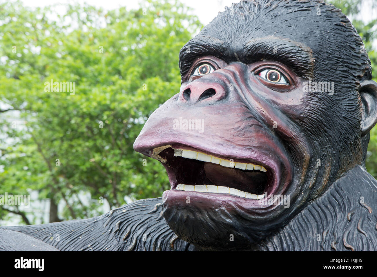portrait of screaming gorilla Stock Photo