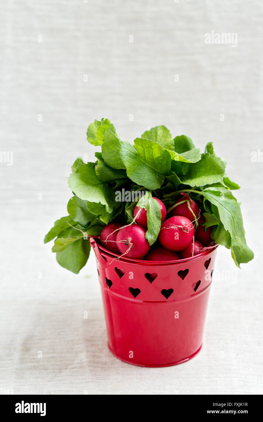 The red radish. Selective focus. Stock Photo