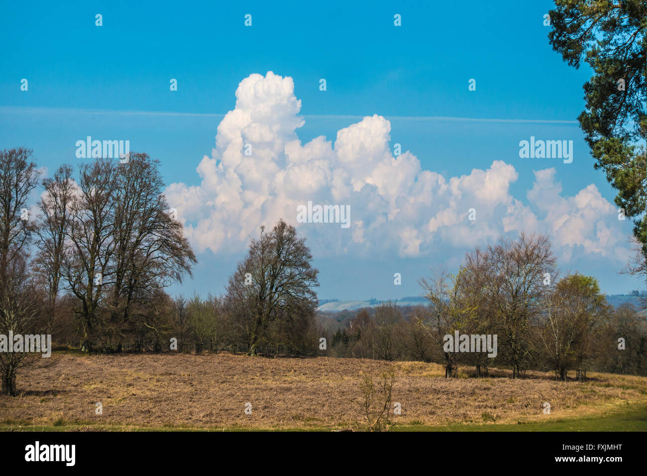 English Heathland Cloud Formations Countryside in Spring  Kent Stock Photo