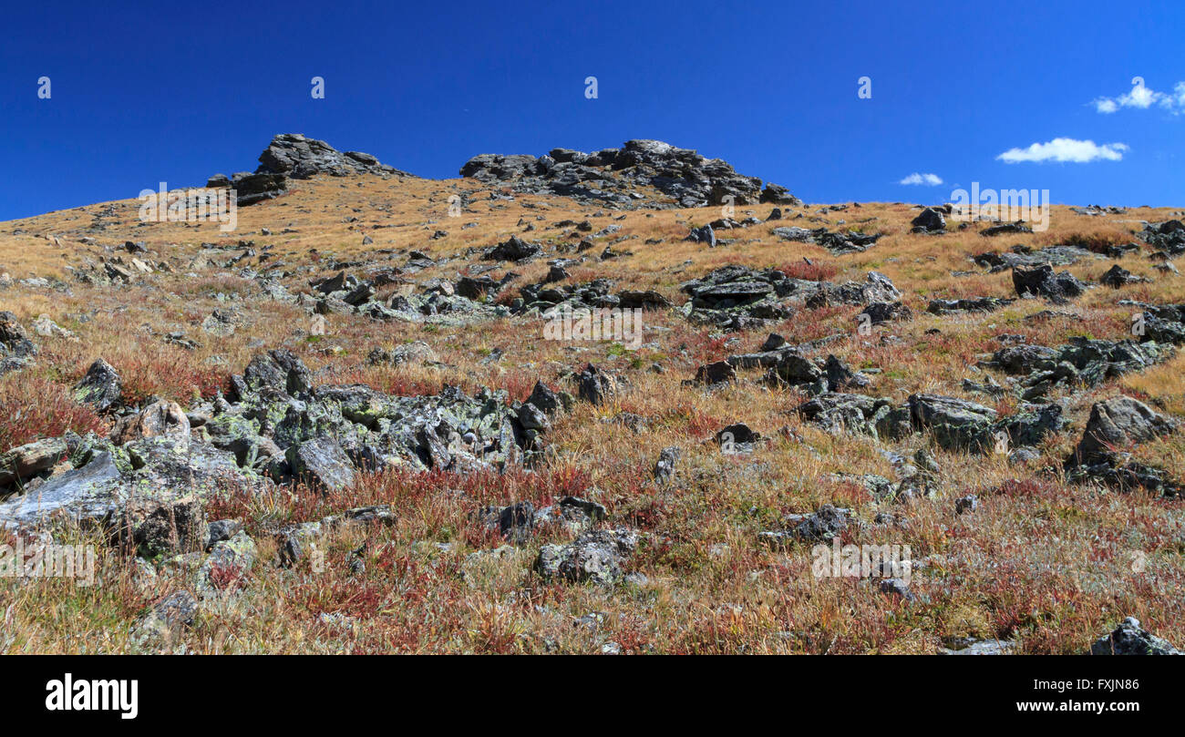 Alpine Tundra, Rocky Mountain National Park, Colorado Stock Photo