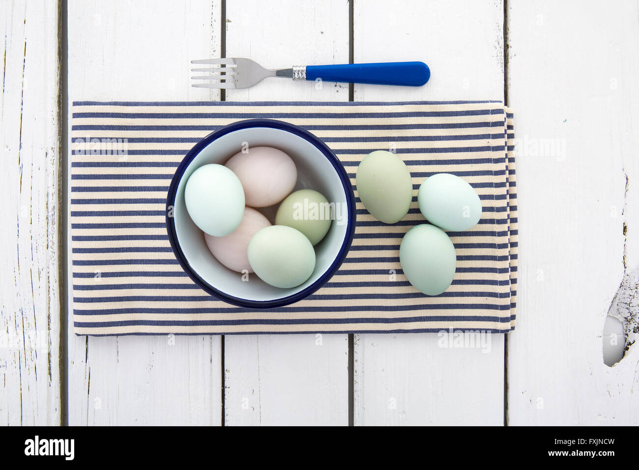 Old Cotswold Legbar Free range eggs with pastel coloured shells in a