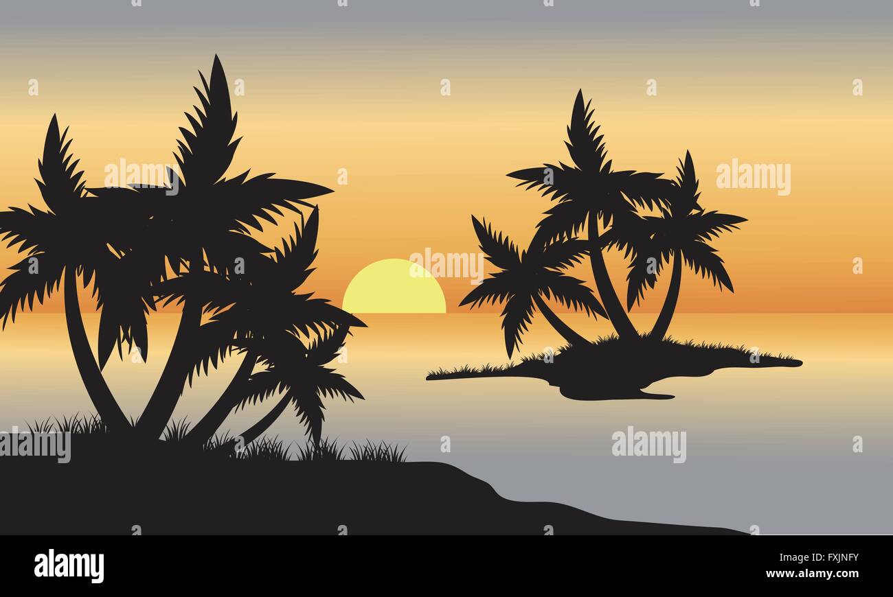 Palm in beach at sunset Stock Vector Image & Art - Alamy