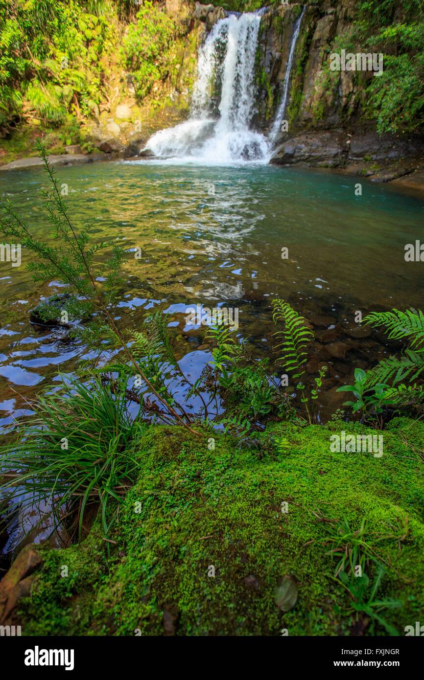 The Waiau Falls on the Coromandel Peninsula of the North Island of New Zealand Stock Photo