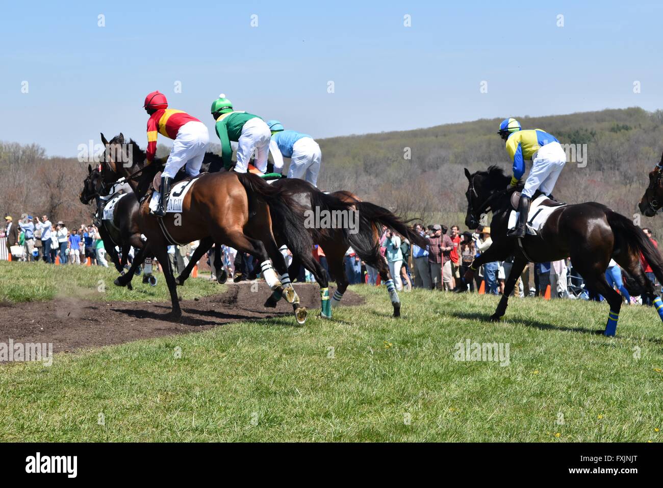 Steeplechase Riders at My Lady's Manor Steeplechase Races in Monkton