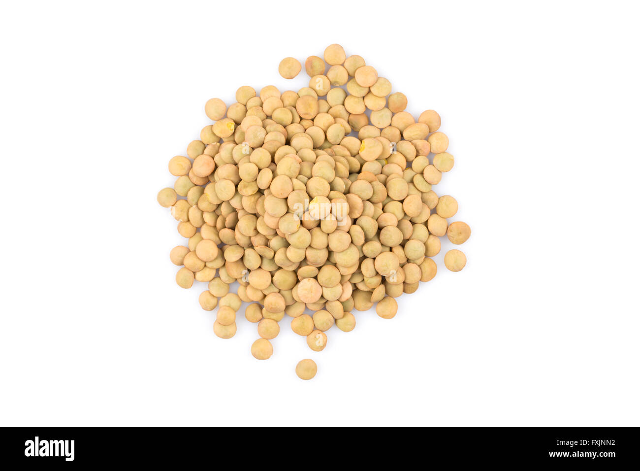 French green lentils (lentilles du Puy) on a white background Stock Photo