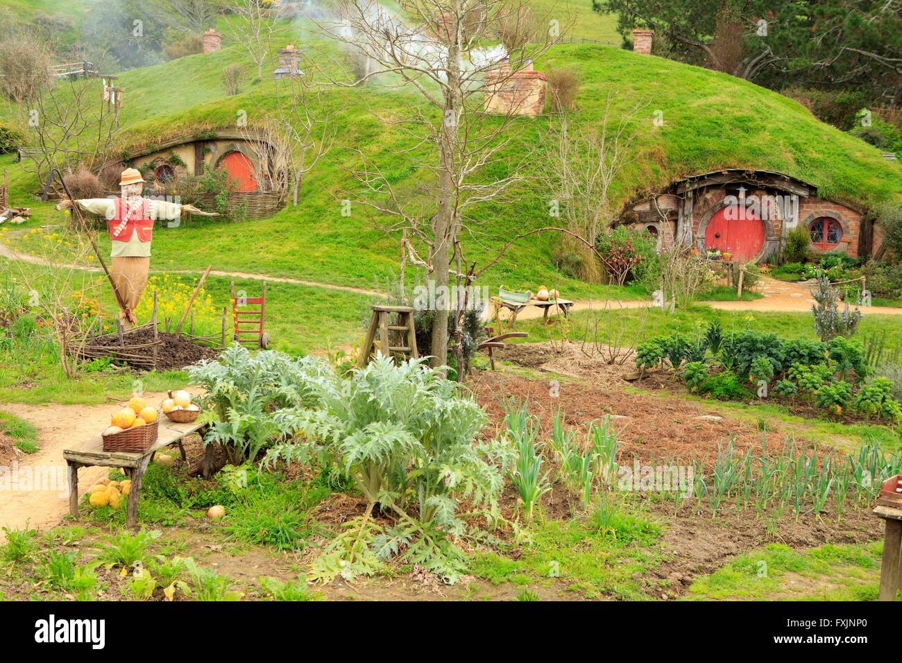 Hobbiton, near Matamata on the north island of New Zealand, is the home of the movie set used in the movie series Lord of the Ri Stock Photo