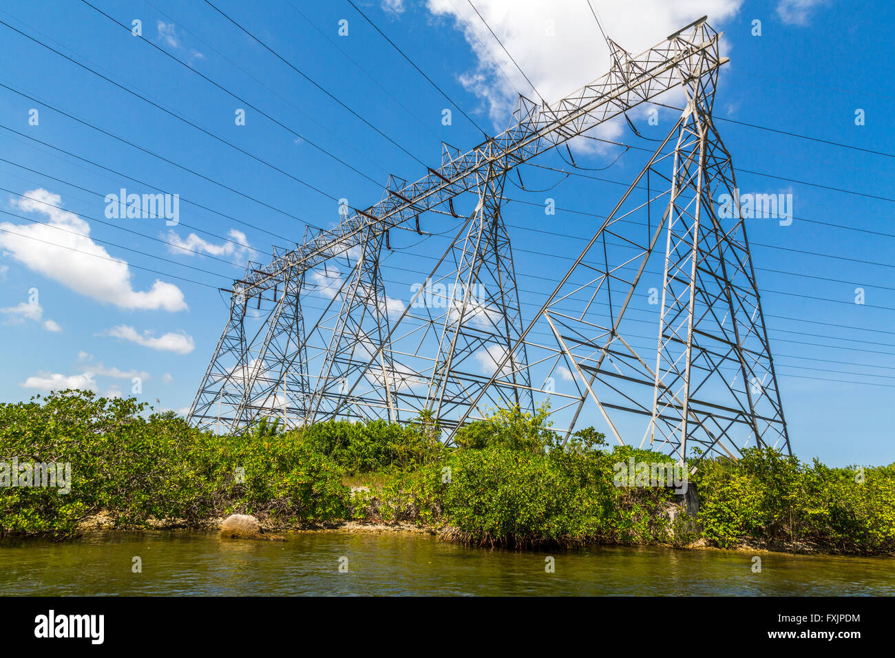 Electric Pylons beside river bank Florida USA Stock Photo Alamy