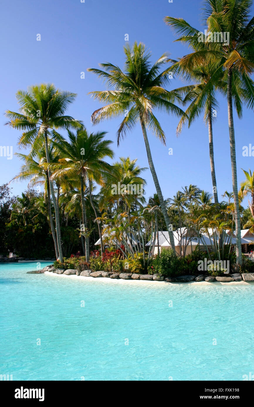 Resort Hotel pool in tropical Port Douglas Far North Queensland, Australia Stock Photo