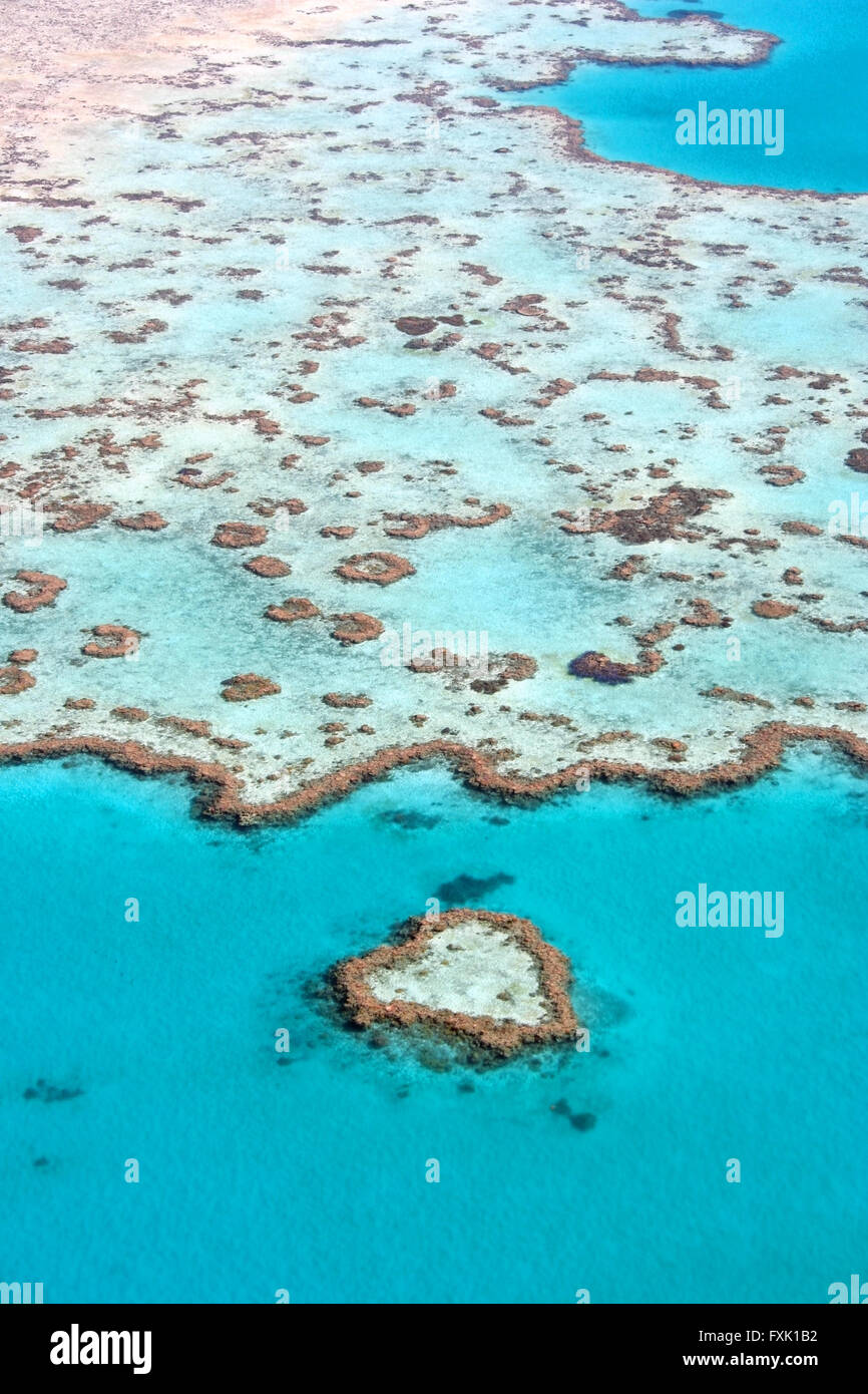 Great Barrier Reef Australia Stock Photo - Alamy