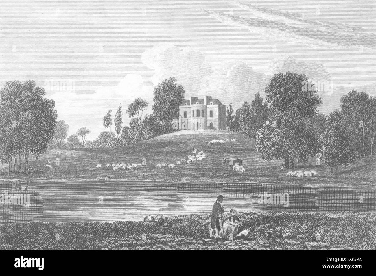 STANMORE: Canons Thomas Plumer: Mddx Cannons: Sheep, antique print 1815 Stock Photo