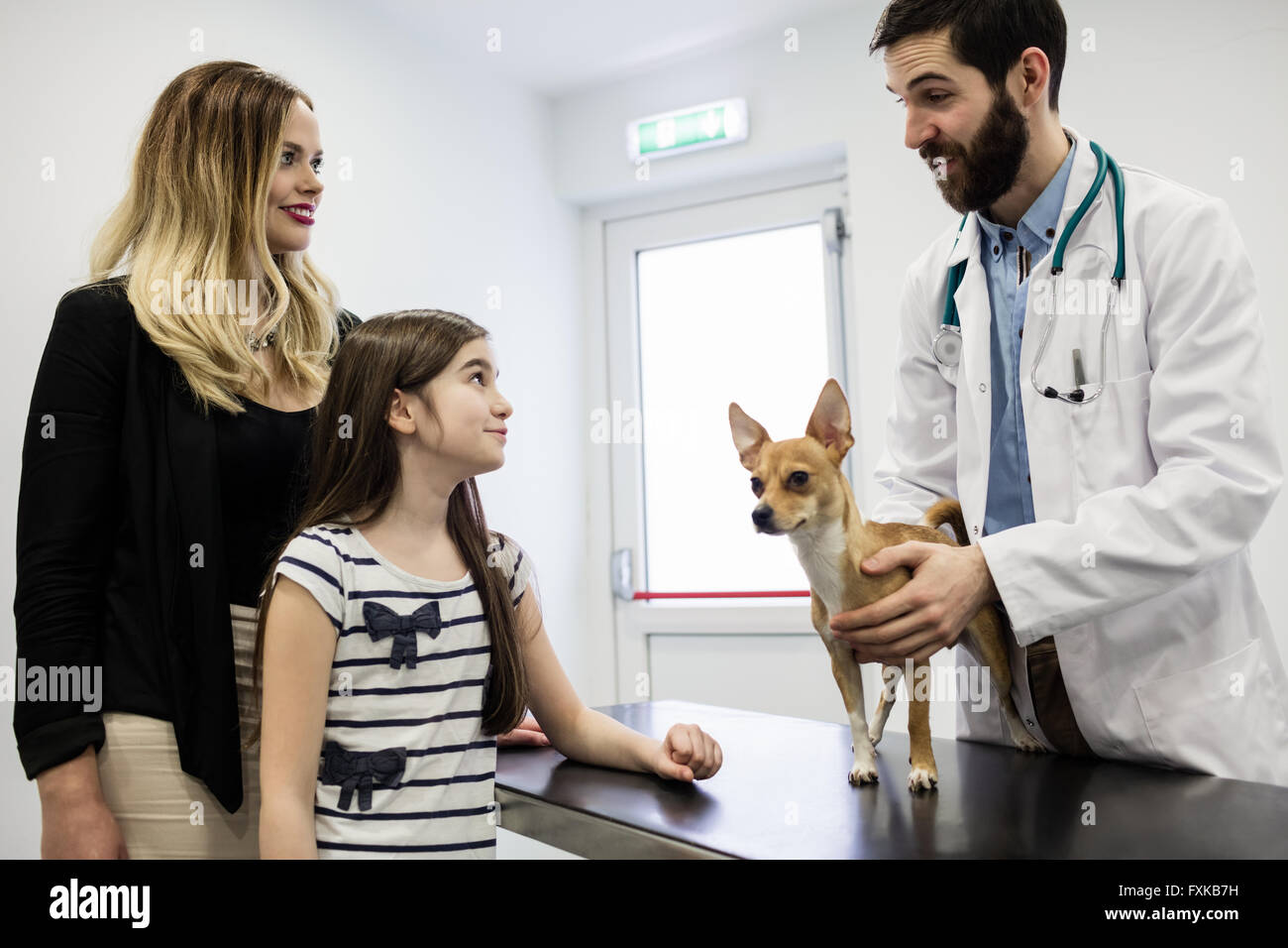 Vet examining dog with its owner Stock Photo - Alamy