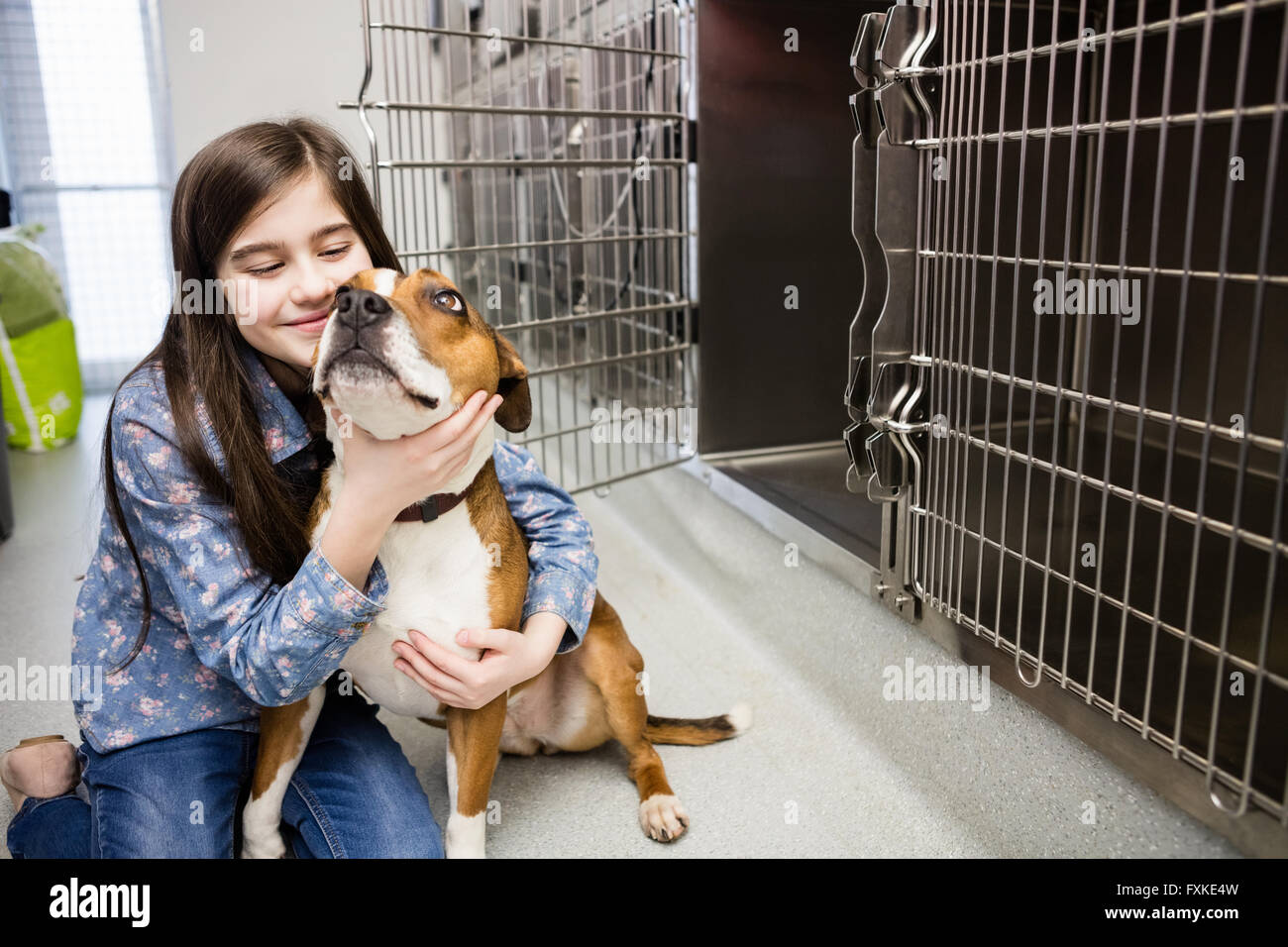Girl playing with her pet dog Stock Photo - Alamy