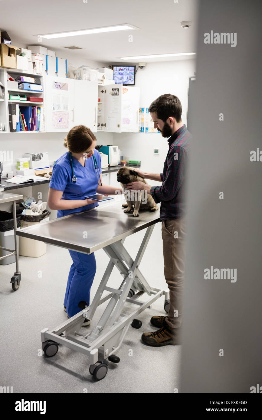 Vet examining dog with its owner Stock Photo - Alamy