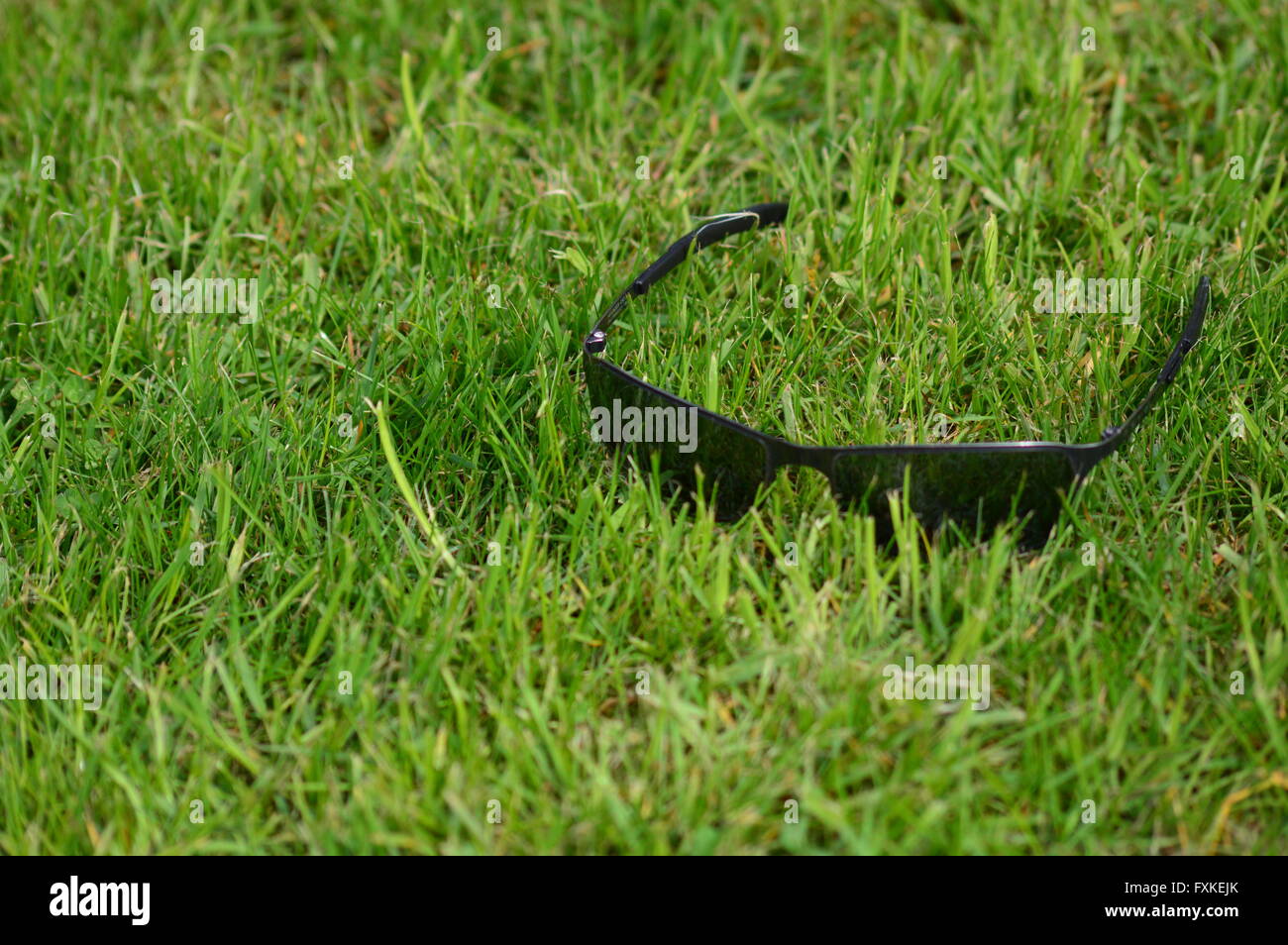 The Sunglasses in the green Grass Stock Photo