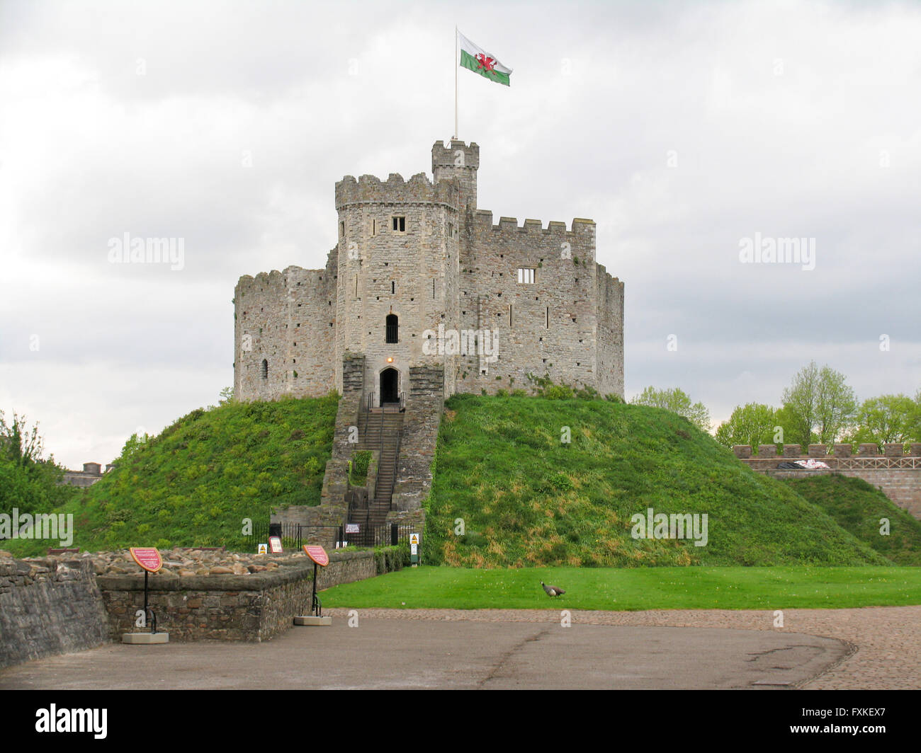 Shell keep hi-res stock photography and images - Alamy