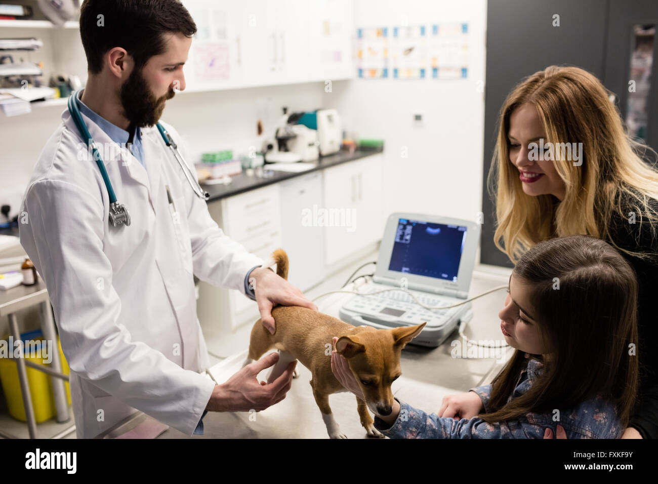 Vet examining a dog with its owner Stock Photo - Alamy