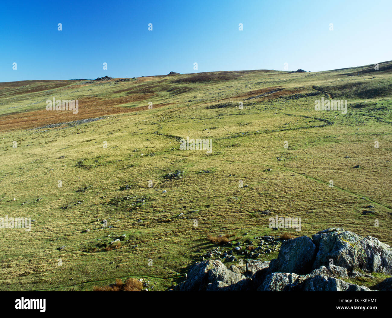 An undefended Iron Age agricultural settlement SE of the small hillfort on Carn Alw (Carnalw) outcrop on Mynydd Preseli, Pembrokeshire. Stock Photo